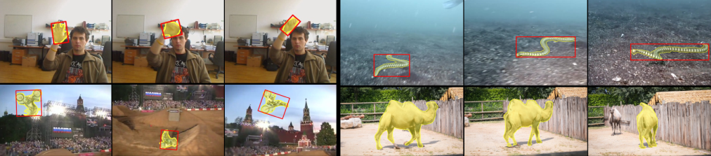 Visualization of output segmentations for changing object orientations and shapes